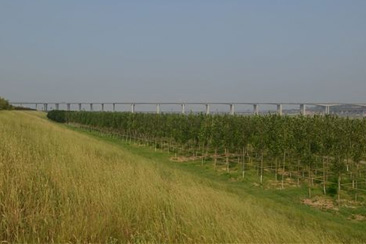 �r(n��ng)�ַ��o(h��)